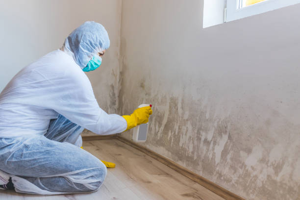 Mold Remediation specialist working in Islip Terrace